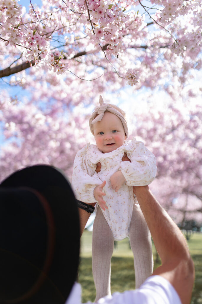 Dad lifting his baby high beneath the cherry blossoms at Pākōwhai Regional Park during a spring family photography session in Hawke's Bay.